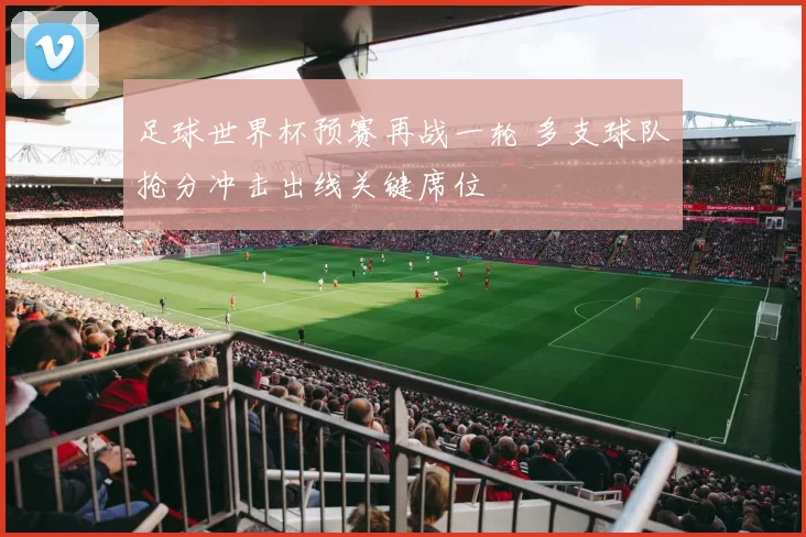 足球世界杯预赛再战一轮 多支球队抢分冲击出线关键席位